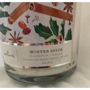 NEW HALLMARK WINTER SPICE 3 WICK JAR CANDLE  16 oz CARDAMOM & GINGER SOY BLEND